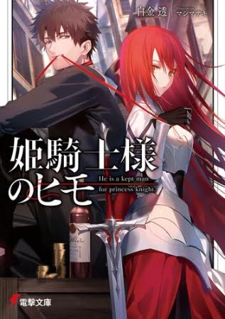 Hime kishi-sama no himo – Novela Ligera